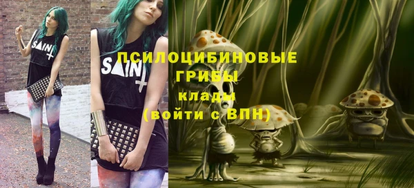 спайс Кулебаки