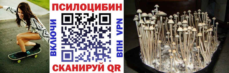 как найти закладки  Дно  Галлюциногенные грибы ЛСД 