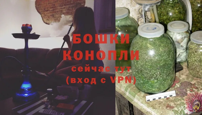 Конопля OG Kush  Дно 