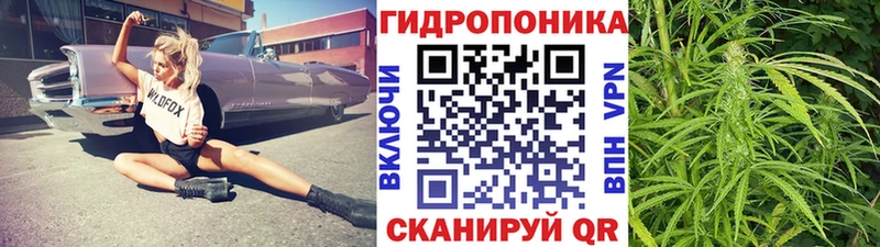 Марихуана MAZAR  Дно 